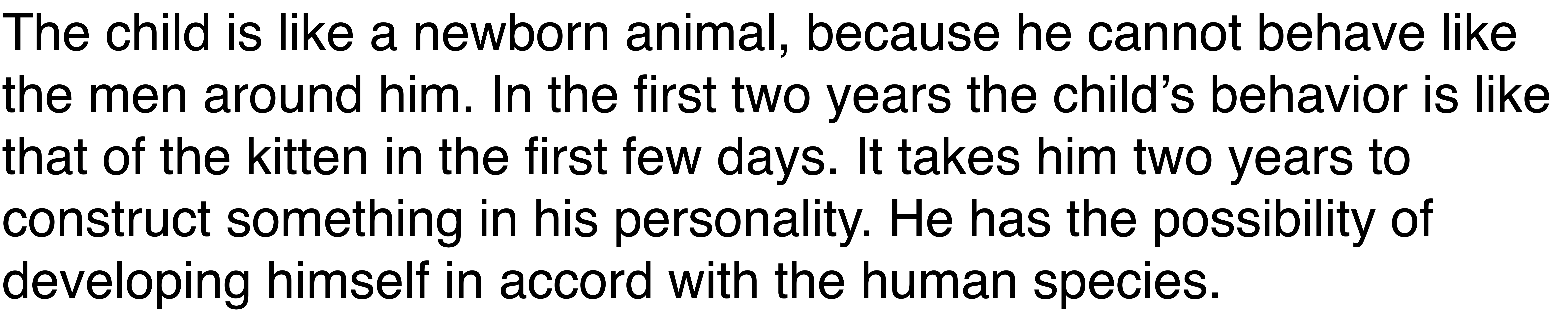 IMG-test